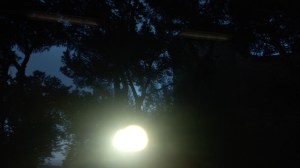 Cielo notturno con profili di rami scuri e un riflesso circolare di luce che ricorda una luna piena, atmosfera onirica e di sosta.