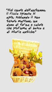 Un riccio di castagna aperto tra le foglie del bosco.