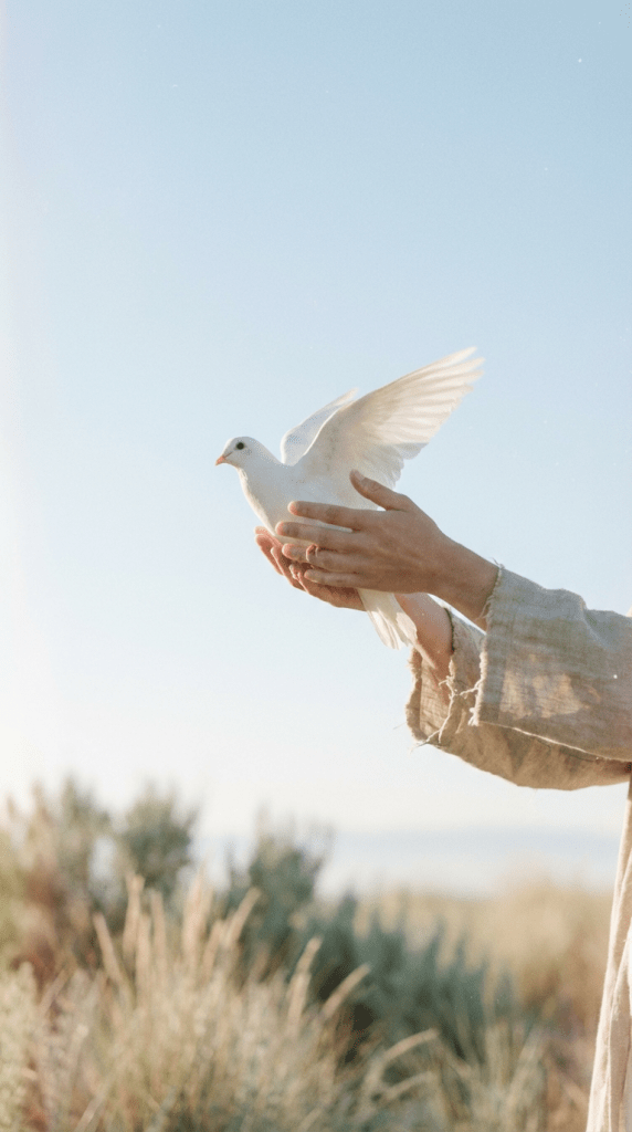 Mani che fanno volare una colomba, simbolo del coraggio di far volare i propri sogni. Ultimo respiro di Poesie d'Inverno.